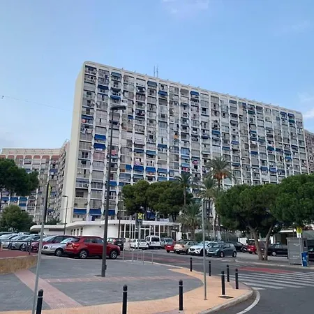 Classy 貝尼多姆